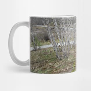 Trails Mug